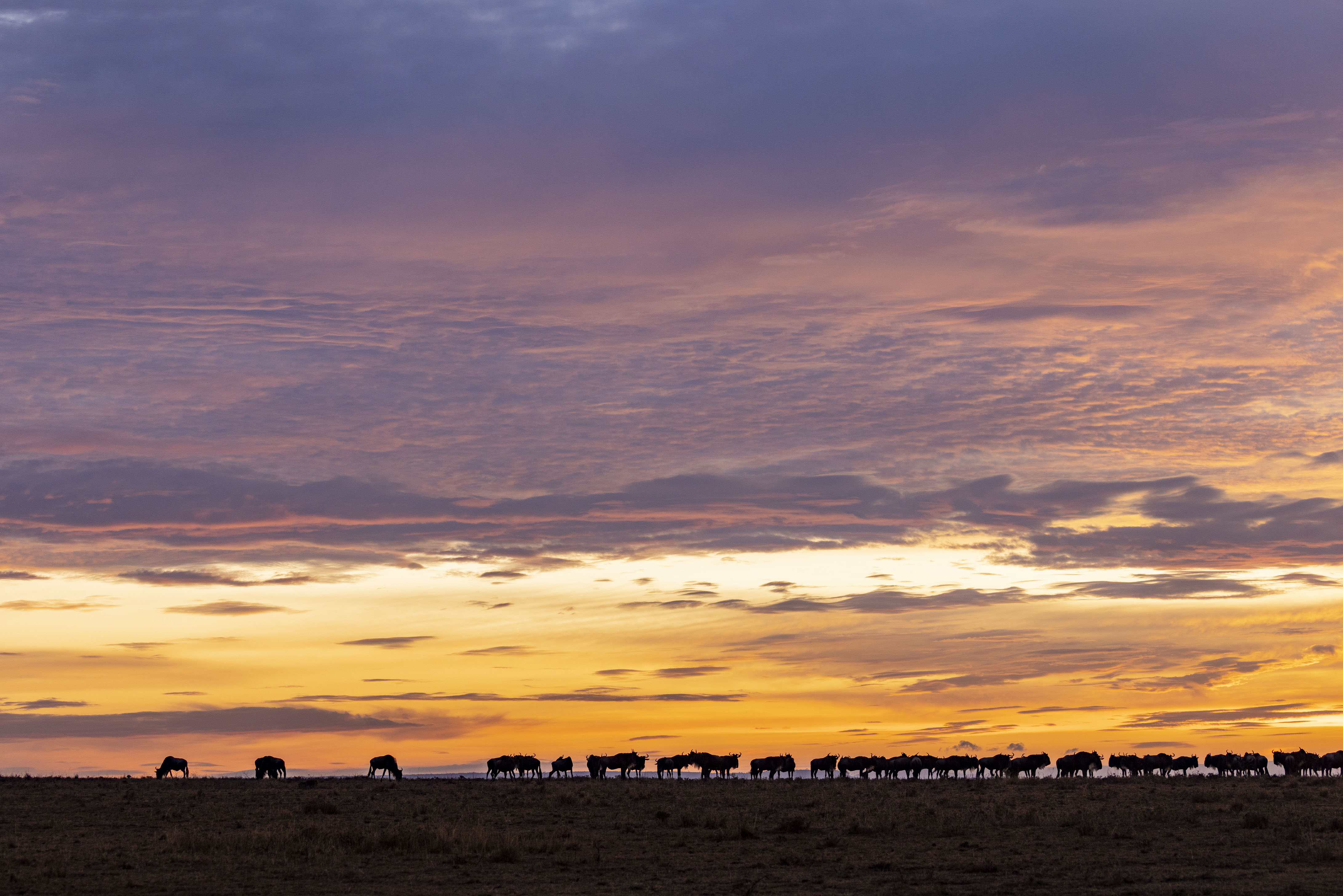 November 13, 2022-060745-2-Edit.jpg